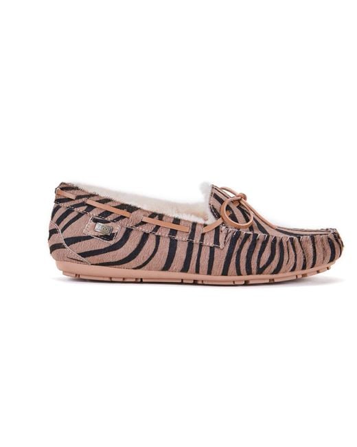 Australia Luxe Pink Prost Zebra Slipper