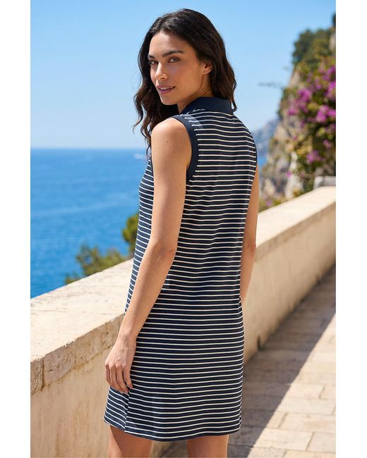 Roman Blue Stripe Collared Mini Dress