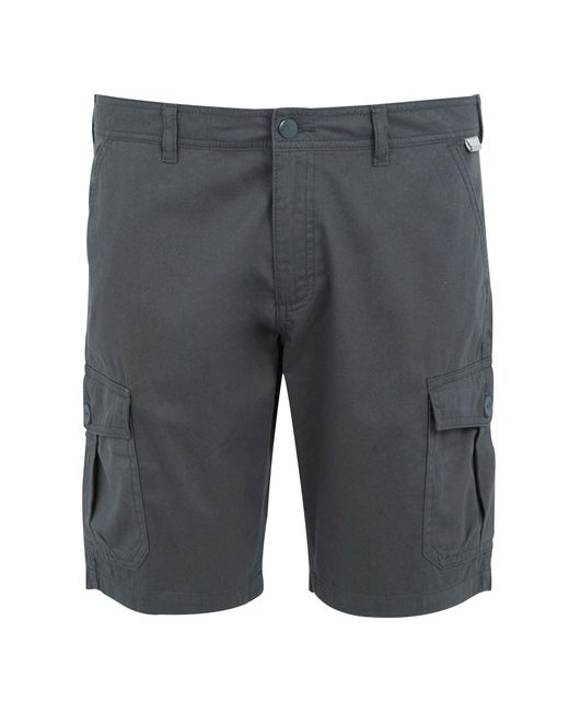 Regatta Gray Ruwan Casual Shorts (Seal) for men