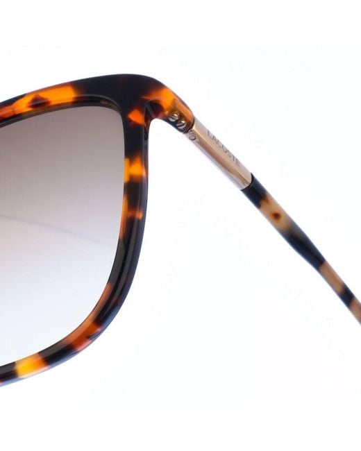 Lacoste Brown Butterfly-Shaped Acetate Sunglasses L963S