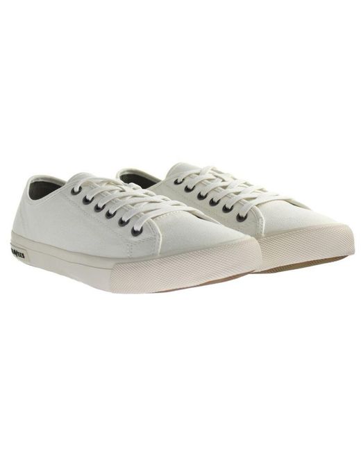 Seavees Black Monterey Standard Cotton Canvas Off Trainers for men