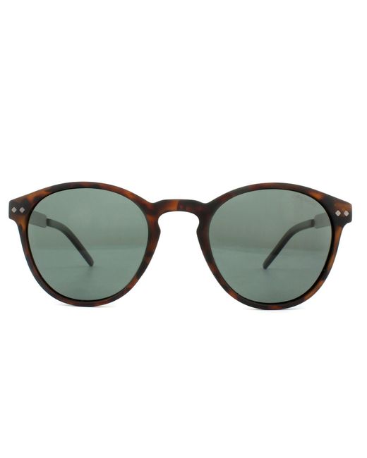 Polaroid Brown Round Matt Havana Polarized Sunglasses