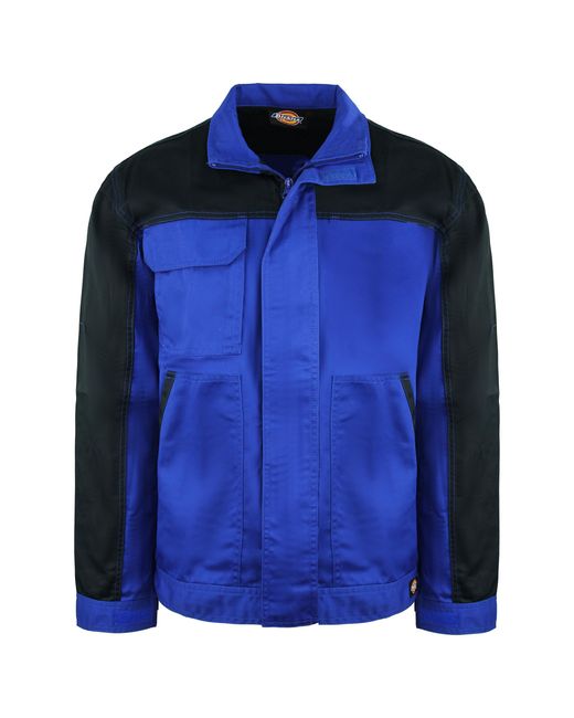 Dickies Blue Two Tone Royal/ Everyday Jacket for men