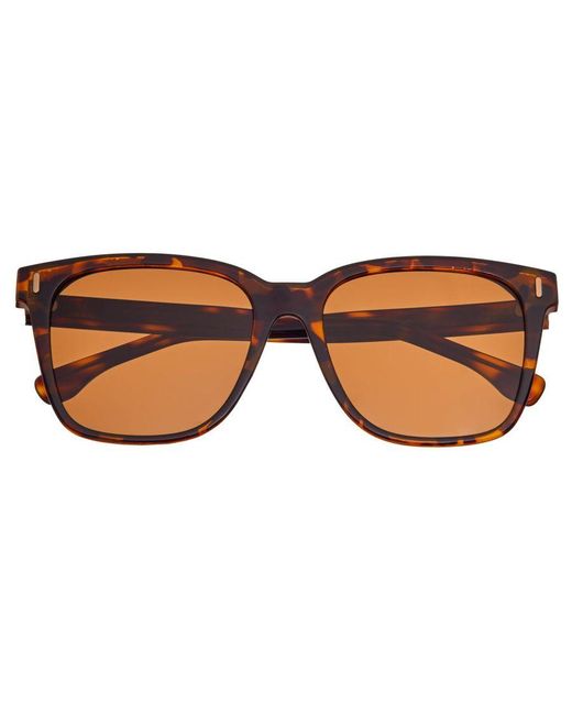 Breed Brown Linux Polarized Sunglasses for men