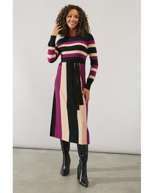 Wallis Gray Stripe Colourblock Belted Knit Midi Dress