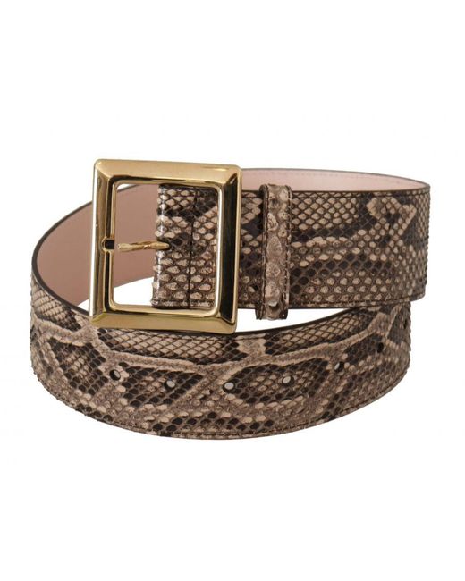 Dolce & Gabbana Brown Beige Exotic Leather Wide Gold Metal Buckle Belt