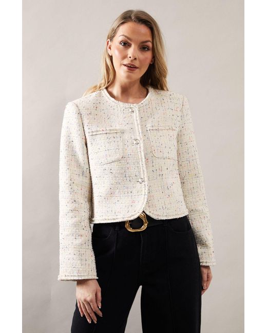 Wallis White Trim Detail Boucle Edge To Jacket