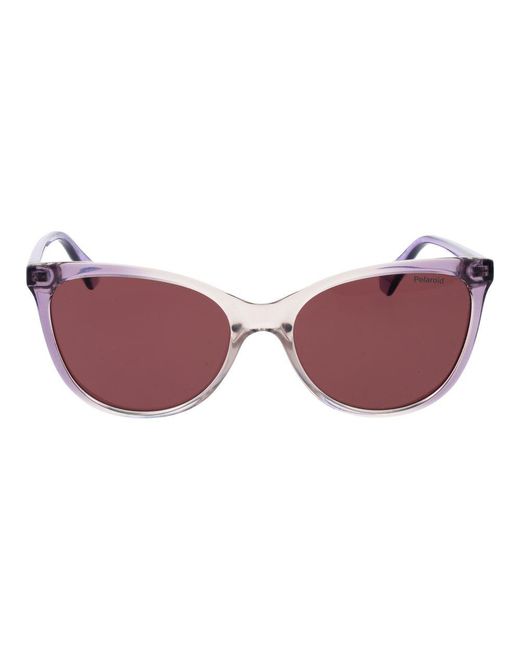Polaroid Purple Plastic Sunglasses