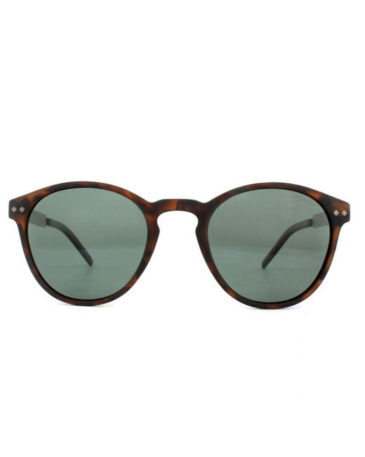 Polaroid Brown Round Matt Havana Polarized Sunglasses