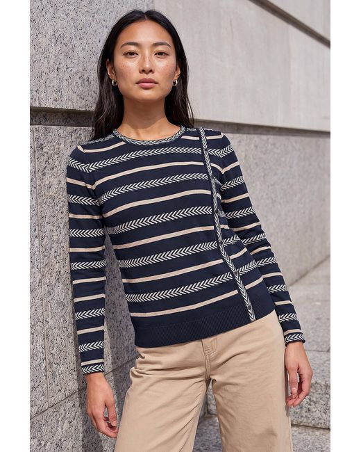 Roman Blue Petite Stripe Knit Jumper