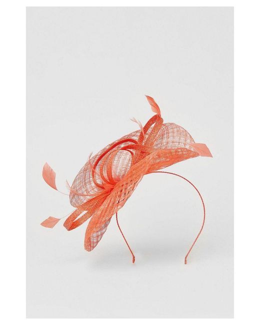 Coast Open Weave Bow And Feather Fascinator in Red Lyst UK