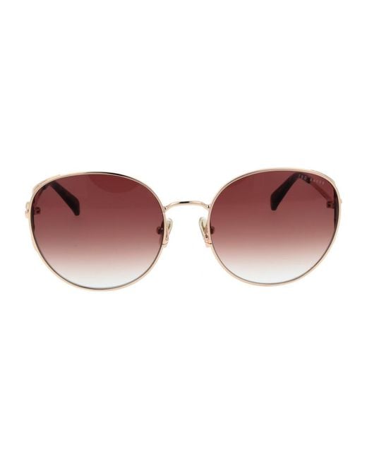 Ted Baker Brown Tb1775 58400 58 400 Sunglasses