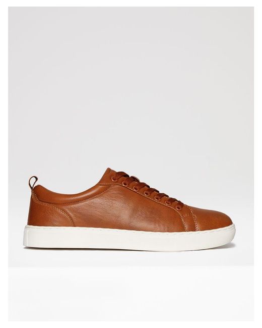 Threadbare Brown 'Molineux' Casual Court Trainers for men