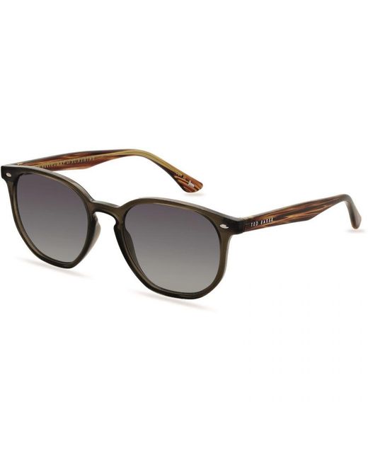 Ted Baker Brown Dock Sunglasses for men
