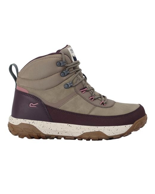 Regatta Brown Ladies Shayford Walking Boots (Fig/