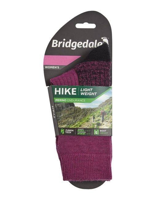 Bridgedale Purple Hiking Lightweight Merino Socks
