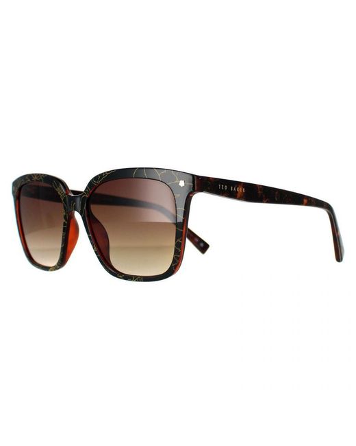 Ted Baker Brown Square Double Champagne Demi Gradient Tb1676 Ramona