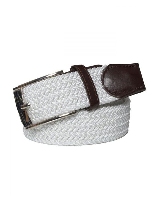 Enzo White Belt