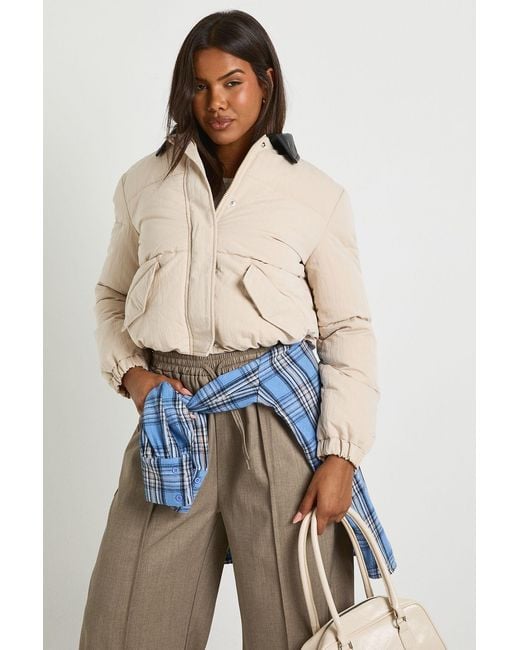 Boohoo Blue Padded Contrast Collared Puffer Jacket