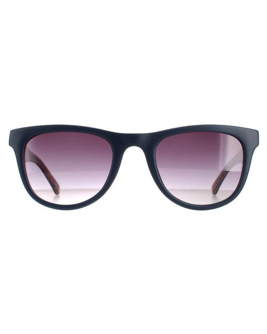 Ted Baker Purple Square Tb1593 Dirk Sunglasses
