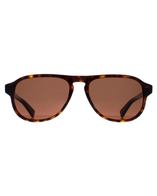 Bottega Veneta Brown Aviator Havana Bv1292S