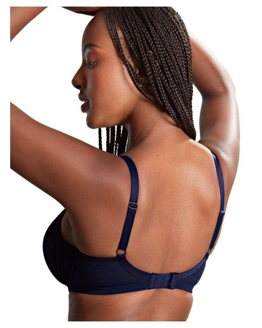 Panache Blue Ana High Apex Plunge Bra