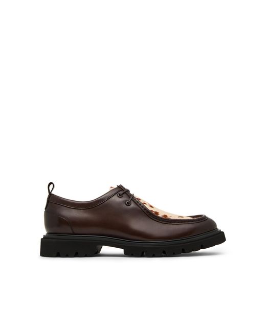 Steve Madden Brown Leather Hulver 23 C Oxfords for men