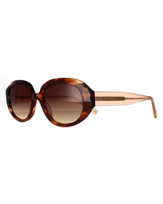 Ted Baker Brown Oval Horn Gradient Tb1689 Penny