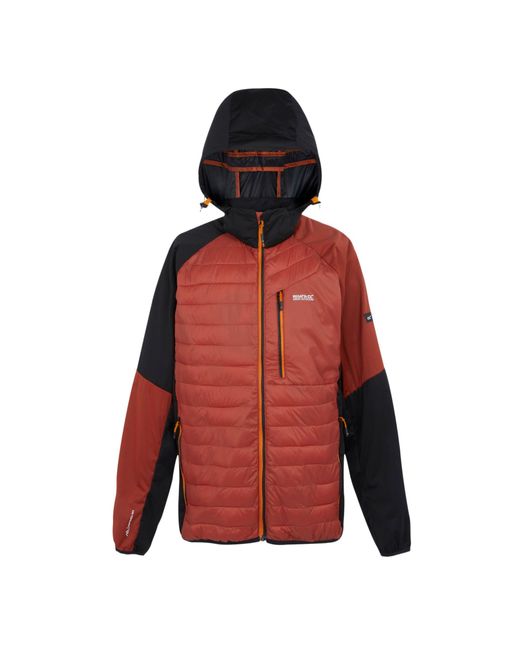 Regatta Red Andreson Pro Hybrid Jacket Ochre) for men