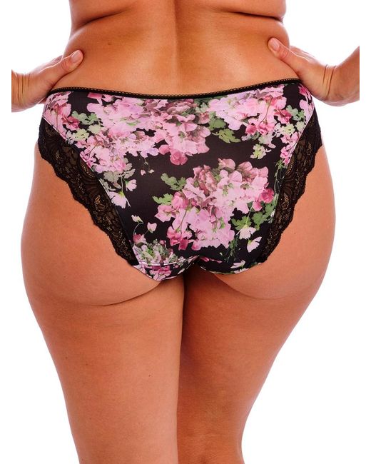 Fantasie Black Lucia Brief