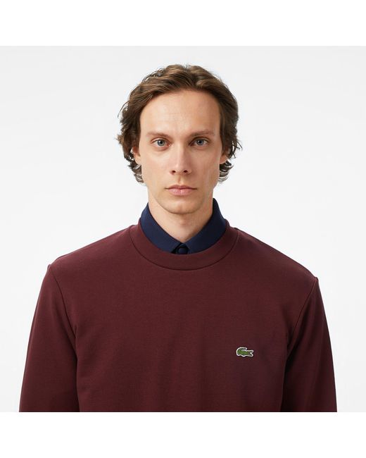 Lacoste Purple Crew Neck Sweatshirt Bordeaux for men
