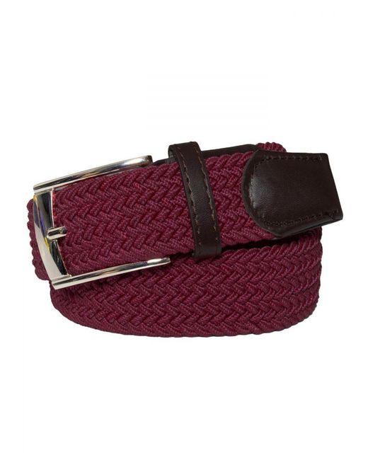 Enzo Purple Belt