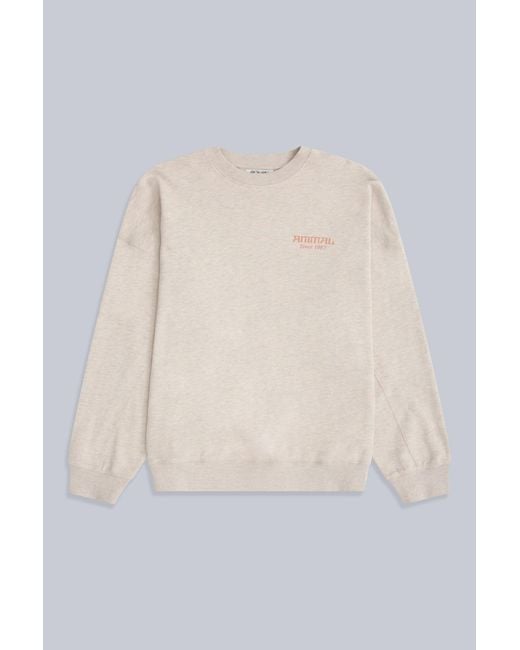 Mountain Warehouse White 'Dakota' Sweatshirt Casual Soft Cotton Stylish Lightweight Pullover Top