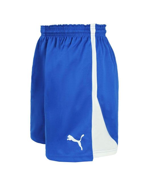 PUMA Blue V5.06 Handball / Shorts