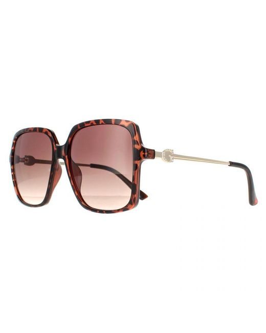 Guess Brown Square Dark Havana Gradient Gf6131