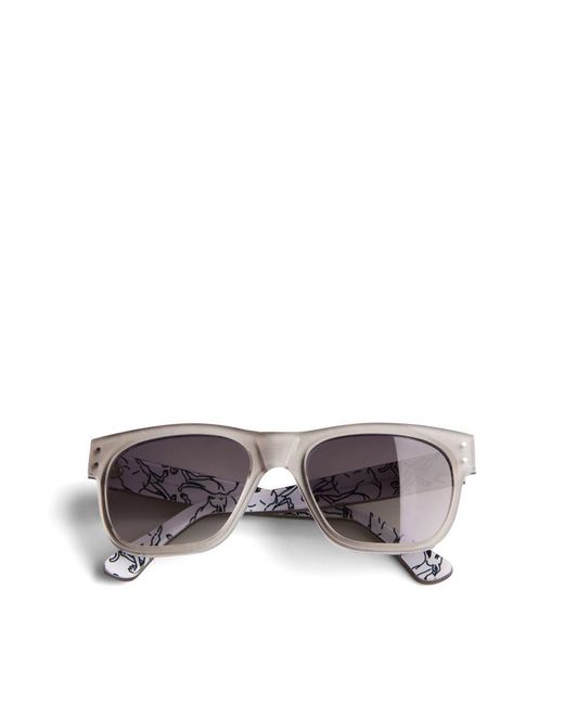 Ted Baker Gray Lord Mib Printed Sunglasses for men