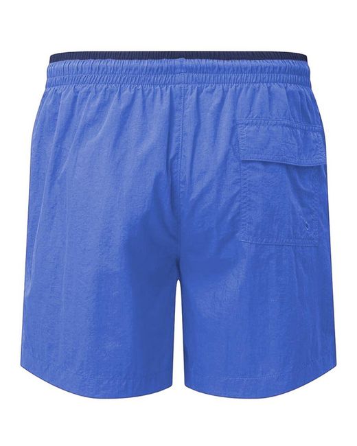 Asquith & Fox Blue Swim Shorts (Royal/) for men
