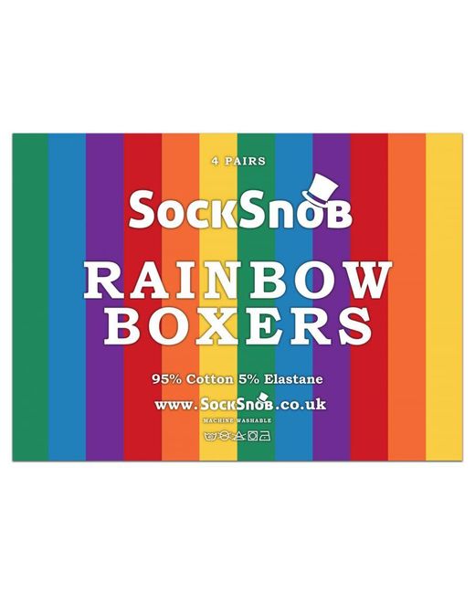Sock Snob Gray 4 Pack Multipack Soft Cotton Novelty Striped Boxer Shorts Underwear for men