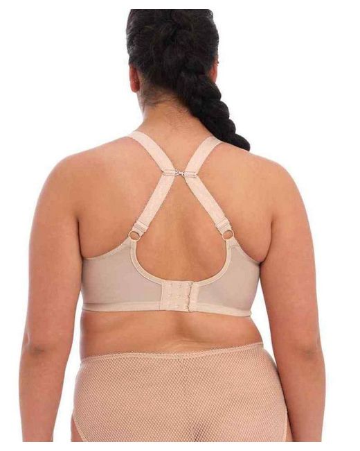 Elomi Brown Charley Side Support Plunge Bra