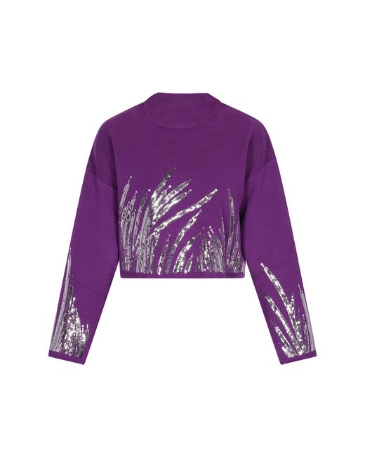 faina Jumper in het Purple