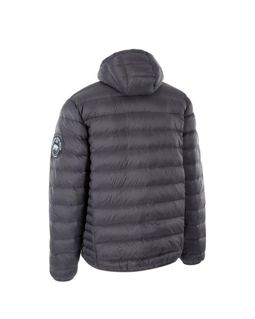 Trespass Gray Whitman Ii Down Jacket /Burnt) for men