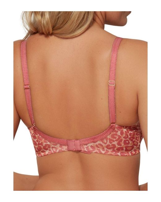 Gossard Brown Glossies Sheer Plunge Bra
