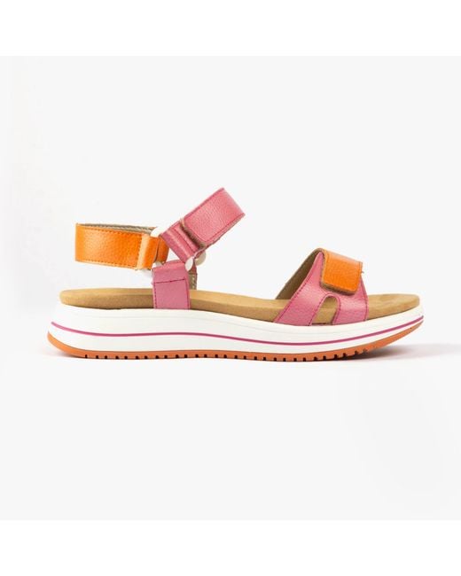 Remonte Pink D1J57-31 Sandals