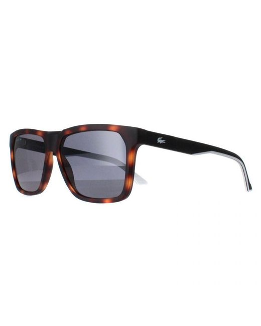 Lacoste Brown Rectangle Matte Havana L972S for men