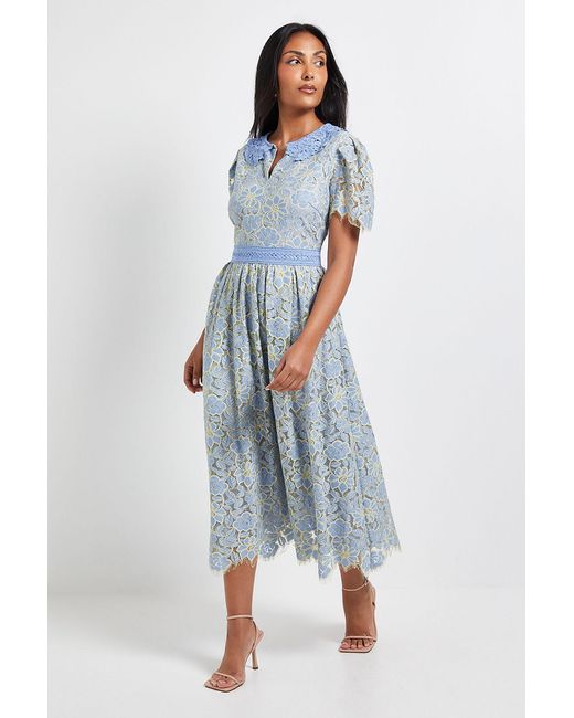 Wallis Blue Petite Lace Collared Button Midi Dress