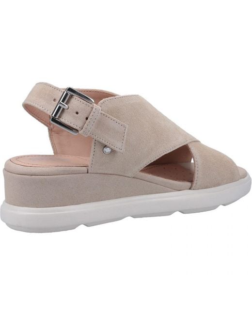 Geox Gray Pisa Leather