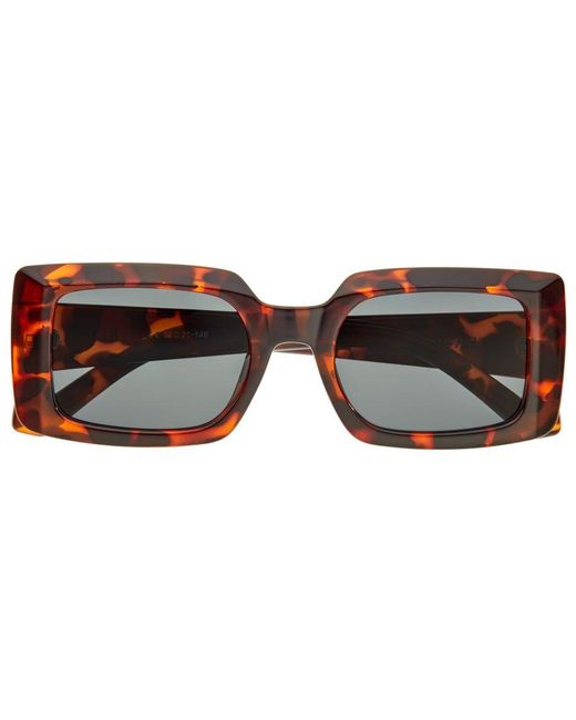 Bertha Brown Miranda Polarized Sunglasses