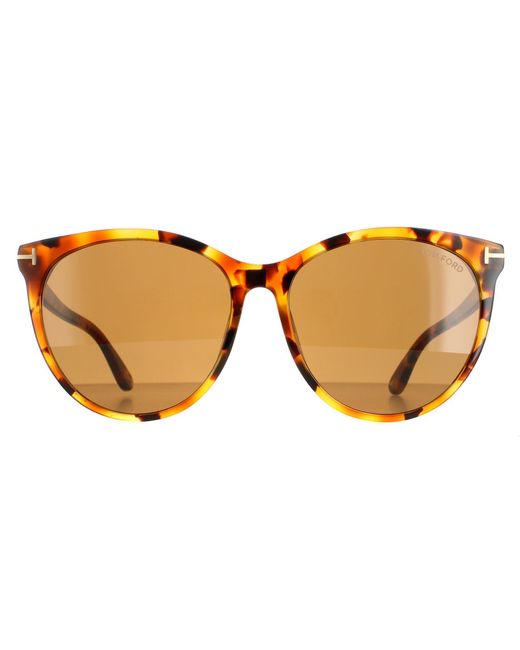 Tom Ford Brown Round Havana Blonde Maxim Ft0787