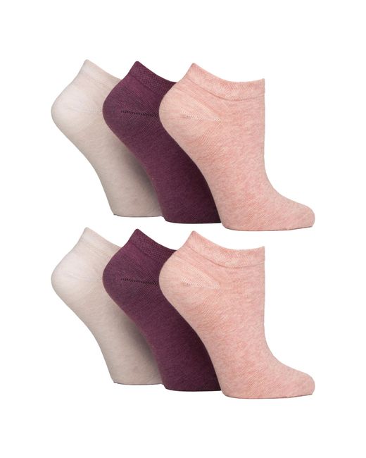 IOMI Purple 6 Pack Diabetic Trainer Socks