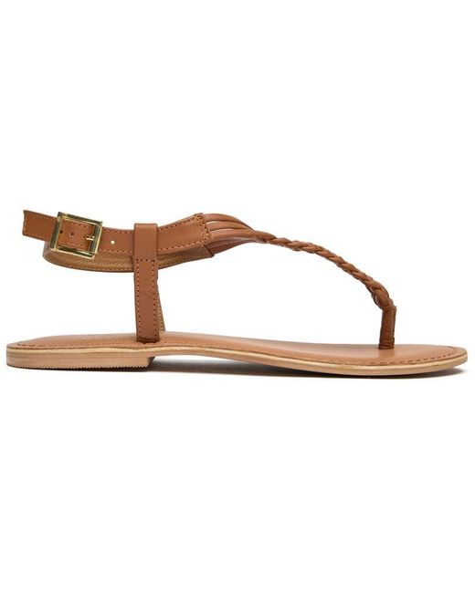 Sole Brown Dulce Thong Sandals